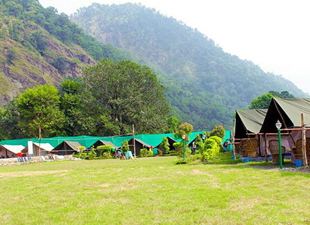 Camping-in-Rishikesh