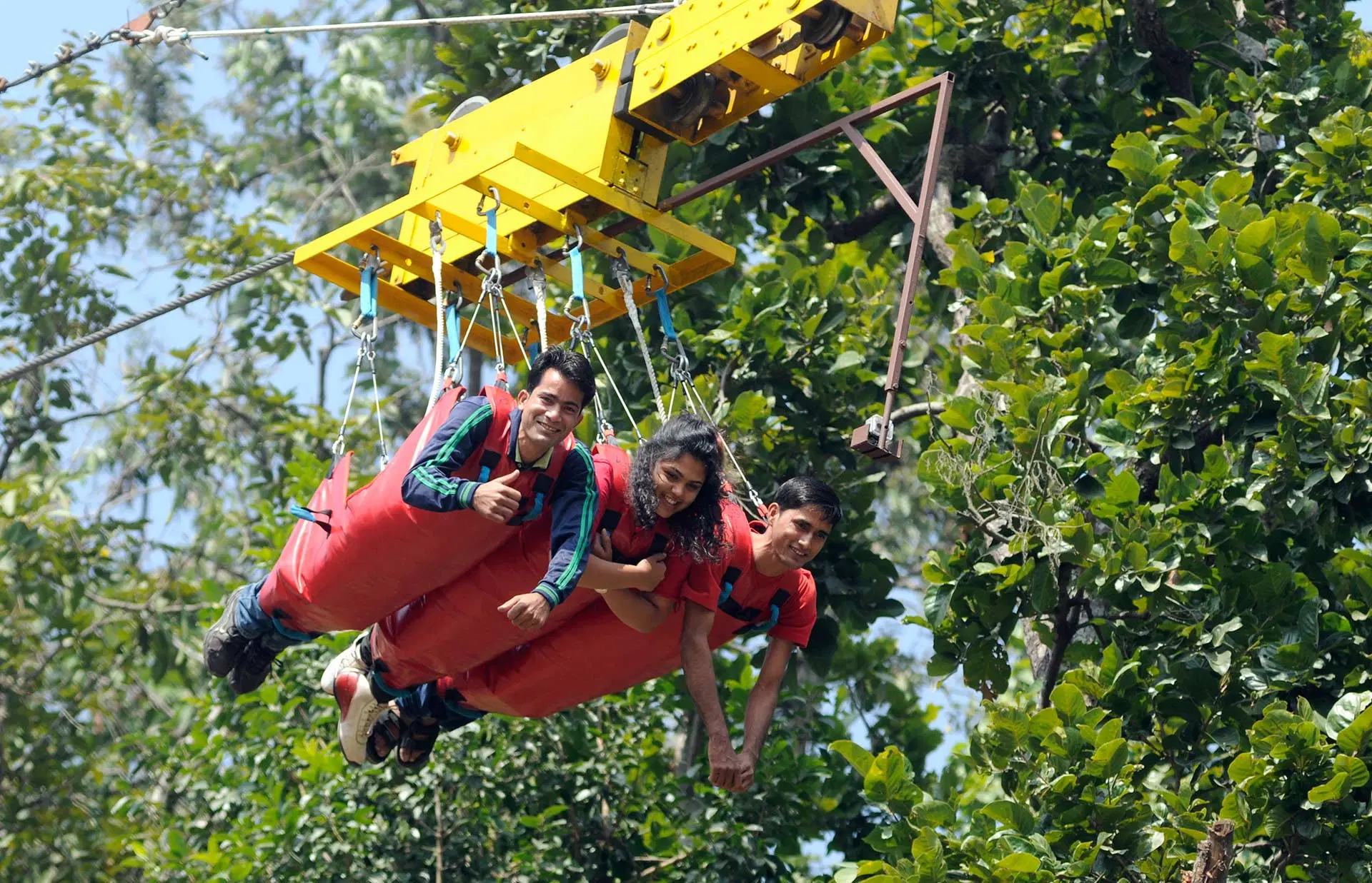 flying-fox